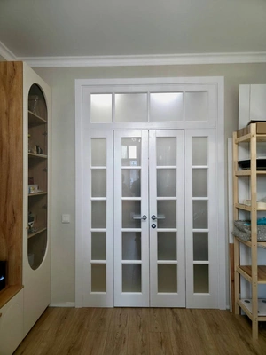 Межкомнатная дверь ТРЕЛИС ДО Doors Ola