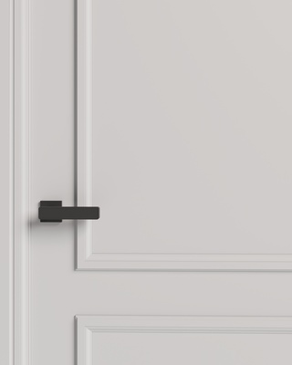 Межкомнатная дверь ПК-2 Doors Ola ДГ